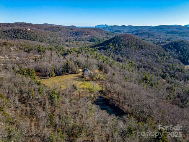1411 Cabin Creek Road, Zirconia, NC 28790