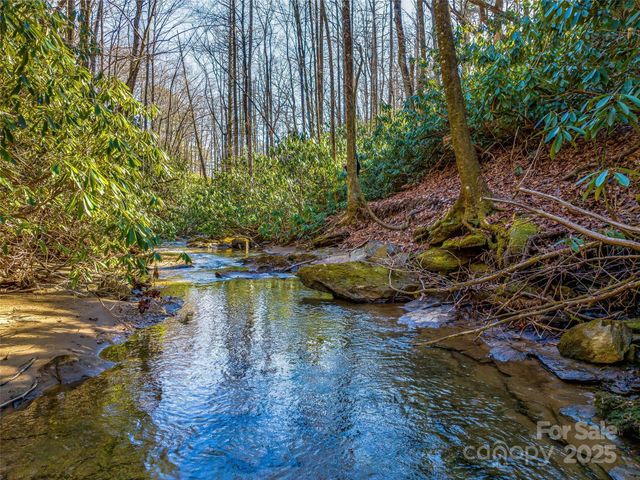 1411 Cabin Creek Road, Zirconia, NC 28790