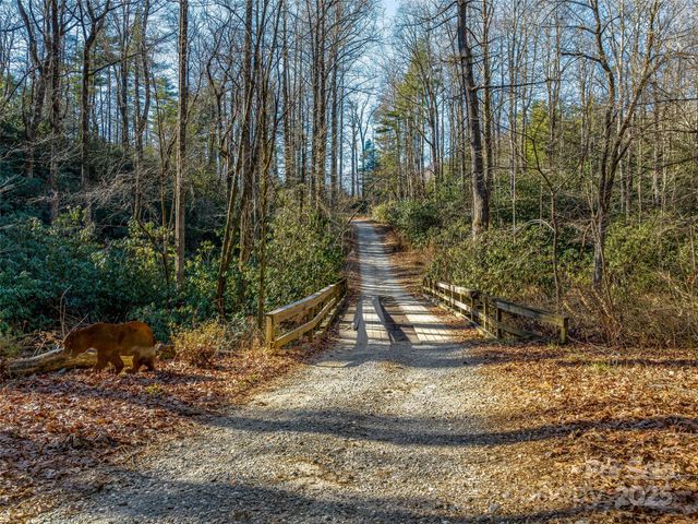 1411 Cabin Creek Road, Zirconia, NC 28790