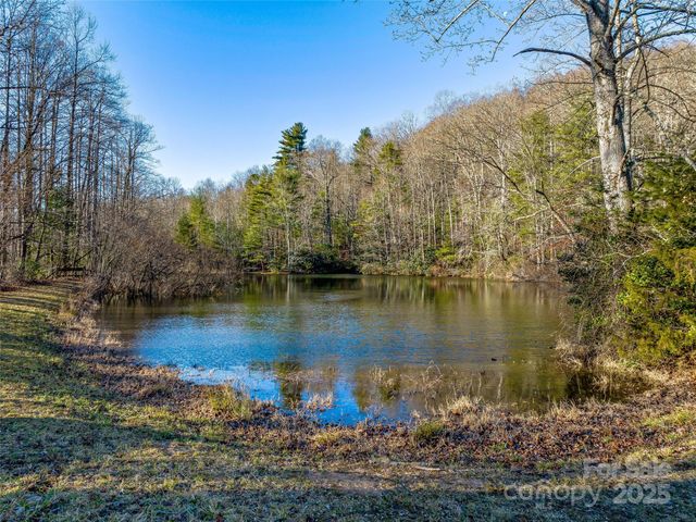 1411 Cabin Creek Road, Zirconia, NC 28790