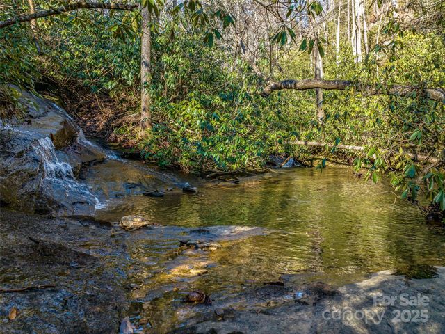 1411 Cabin Creek Road, Zirconia, NC 28790