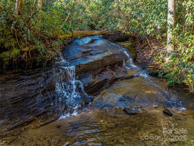 1411 Cabin Creek Road, Zirconia, NC 28790
