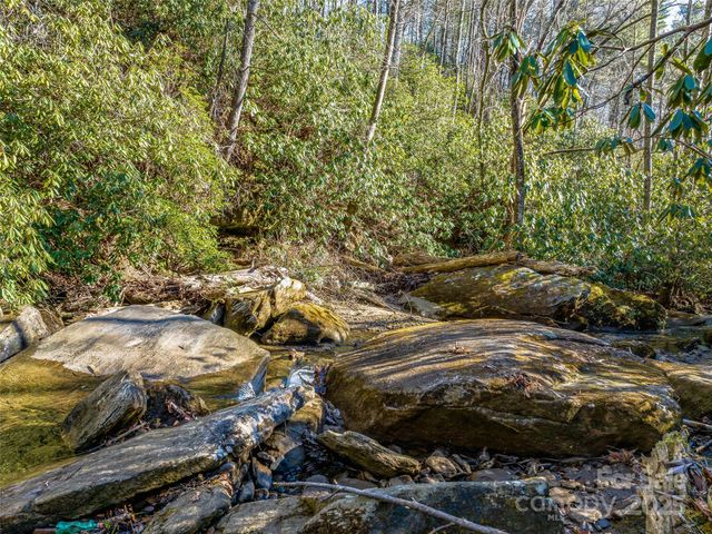 1411 Cabin Creek Road, Zirconia, NC 28790
