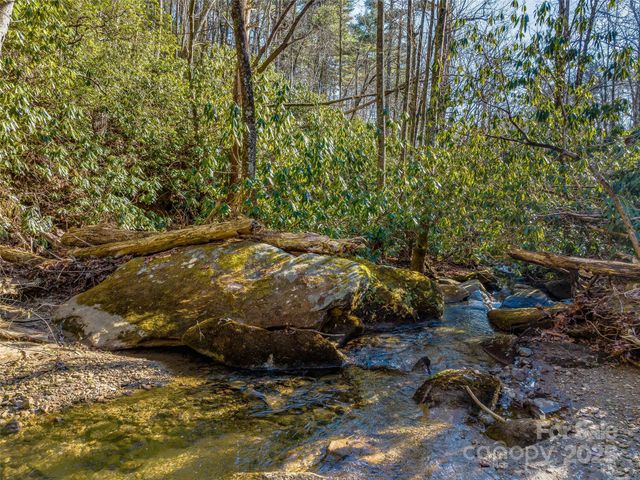1411 Cabin Creek Road, Zirconia, NC 28790