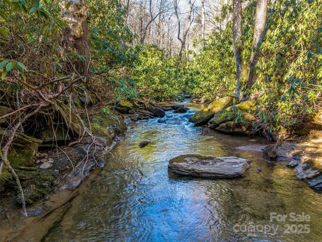 1411 Cabin Creek Road, Zirconia, NC 28790