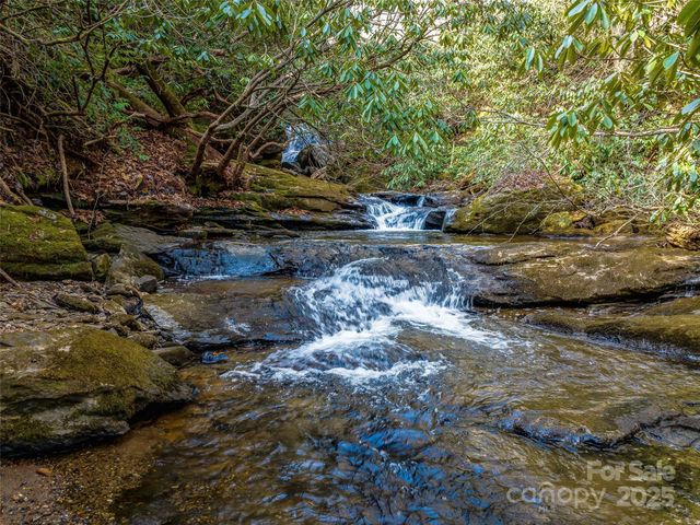 1411 Cabin Creek Road, Zirconia, NC 28790