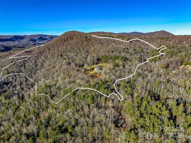 1411 Cabin Creek Road, Zirconia, NC 28790