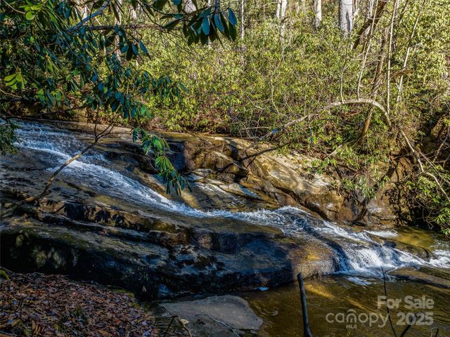 1411 Cabin Creek Road, Zirconia, NC 28790