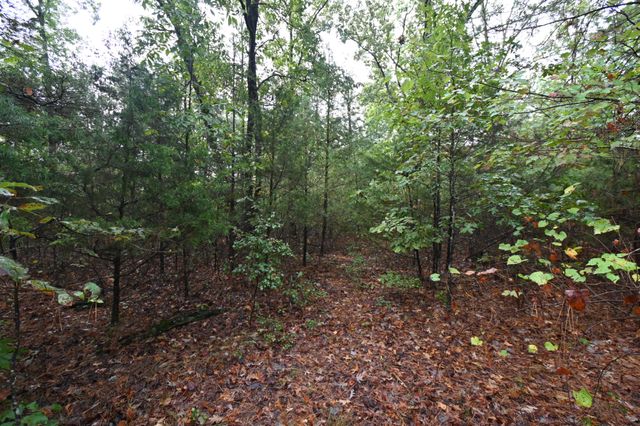 62 Hardison Ln, Linden, TN 37096