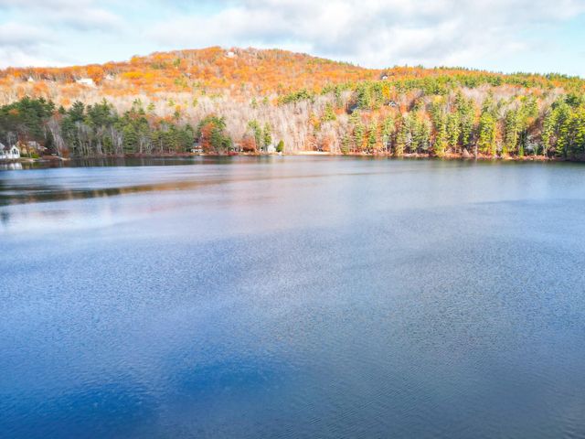 68 Eidelweiss Drive, Madison, NH 03849