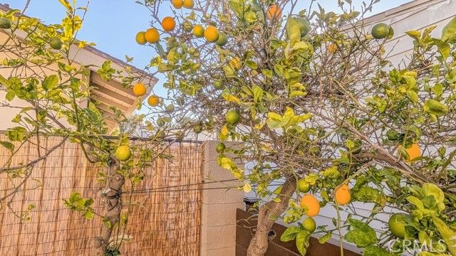 10770 Katella Ave 36, Anaheim, CA 92804