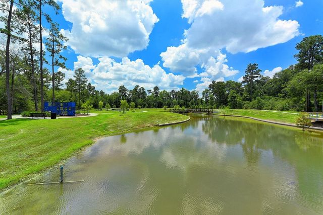 9950 Wild Indigo Circle, Conroe, TX 77385