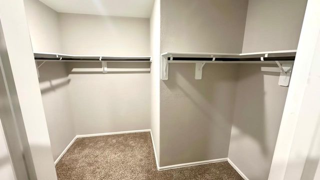 236 Rustic Ridge Circle, Magnolia, TX 77354