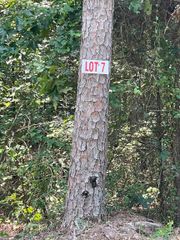 Lot 7 Pleasant Ridge Road, Greers Ferry, AR 72067