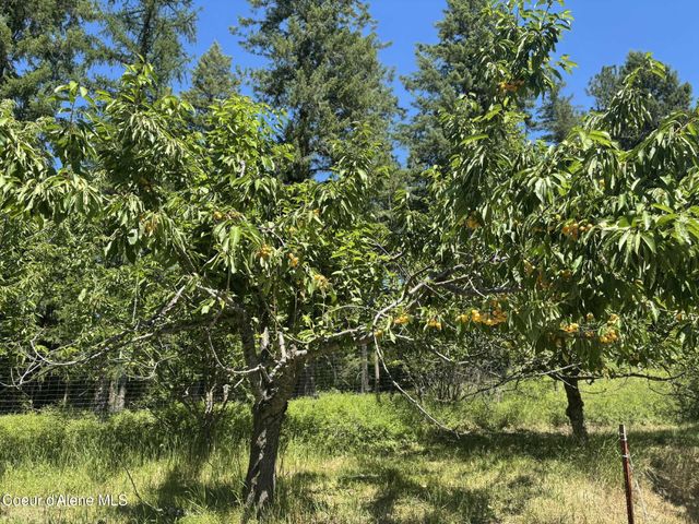 2447 Turner Hill Rd, Bonners Ferry, ID 83805