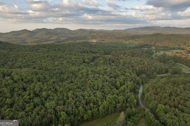 140 Black Oaks Road, Cherry Log, GA 30522