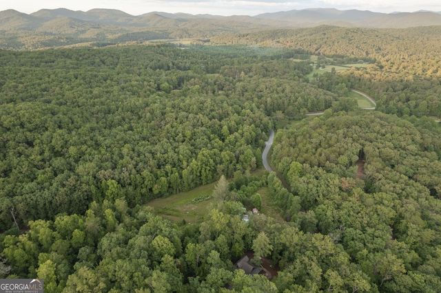 140 Black Oaks Road, Cherry Log, GA 30522