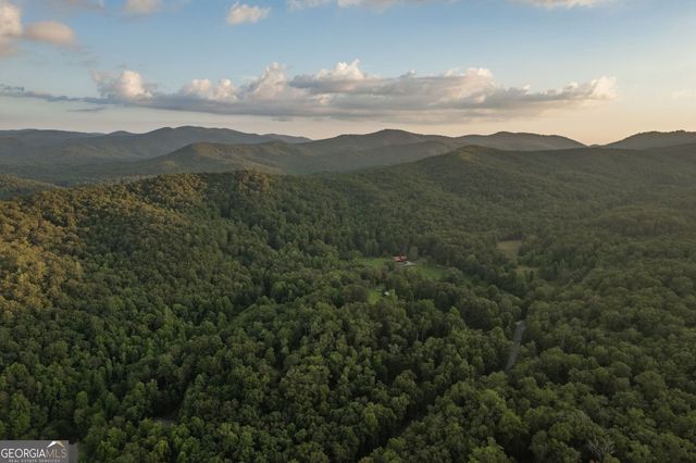 140 Black Oaks Road, Cherry Log, GA 30522