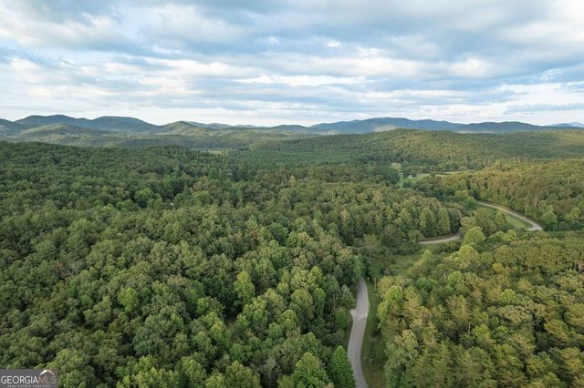 140 Black Oaks Road, Cherry Log, GA 30522