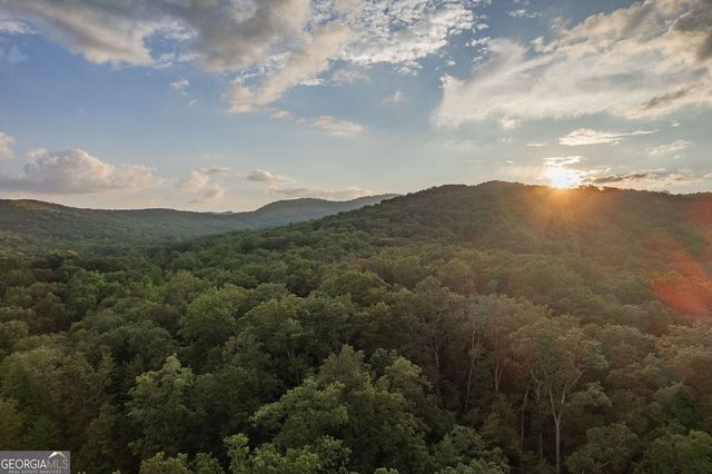 140 Black Oaks Road, Cherry Log, GA 30522