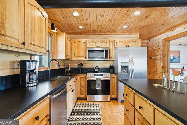 140 Black Oaks Road, Cherry Log, GA 30522