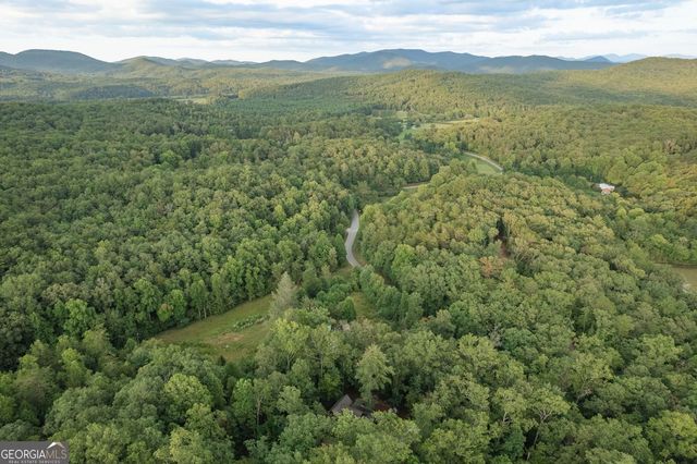 140 Black Oaks Road, Cherry Log, GA 30522