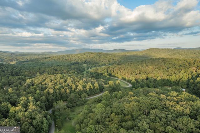 140 Black Oaks Road, Cherry Log, GA 30522