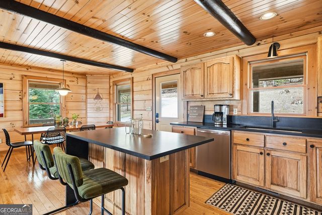140 Black Oaks Road, Cherry Log, GA 30522