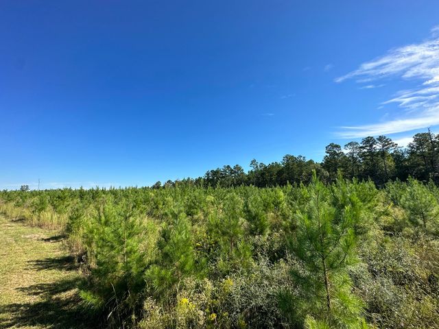 Parcel L Buck Tyner Road, Laurel Hill, FL 32567
