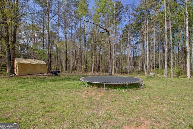 60 Merideth Trace, Sharpsburg, GA 30277