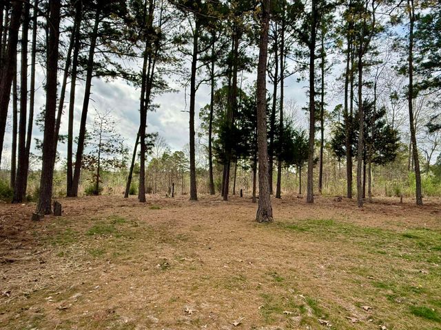 335 Ballard Lane, Oxford, AR 72565