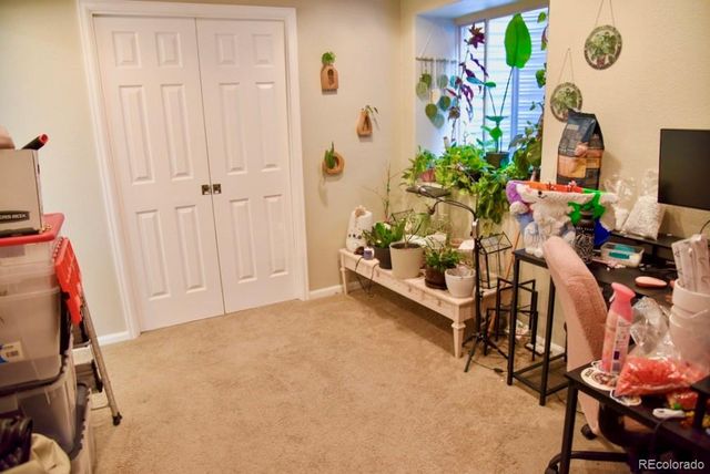 1193 Timbervale Trail, Littleton, CO 80129