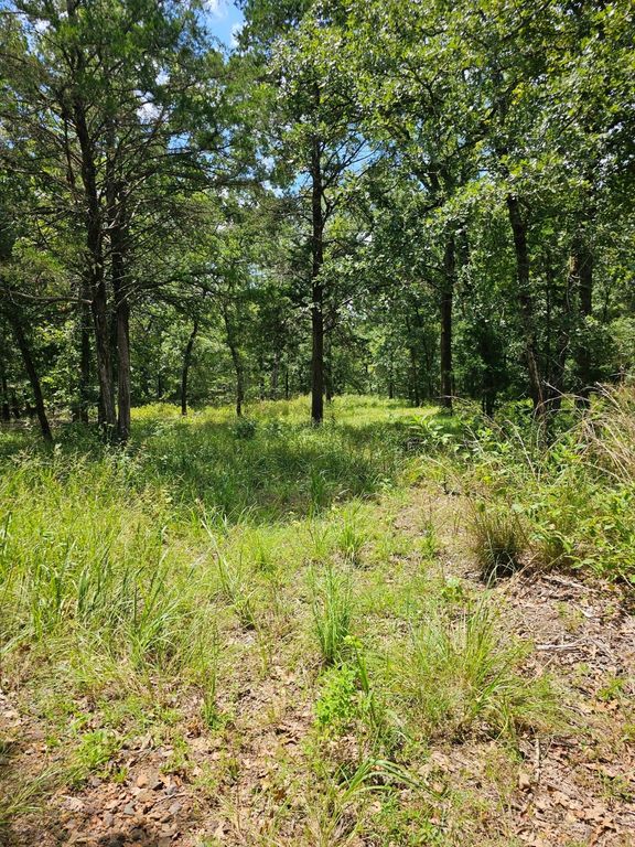 LT 377 Timber Ridge, Larue, TX 75770