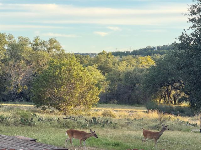 202 Dunkeld DR, Spicewood, TX 78669