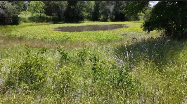 932 Fm 3137, Palo Pinto, TX 76484