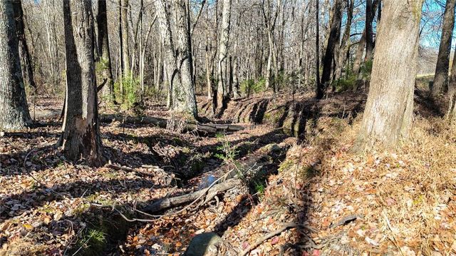 6436 Beulah Church Road, Liberty, NC 27298