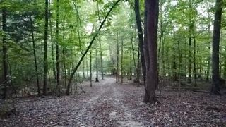 0 Sales Landing Rd, Camden, TN 38320