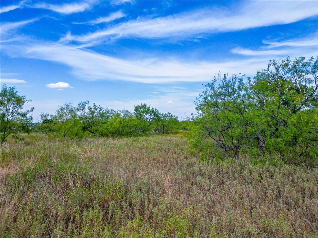 11830 Old Weatherford Road, Aledo, TX 76008 — photo 4