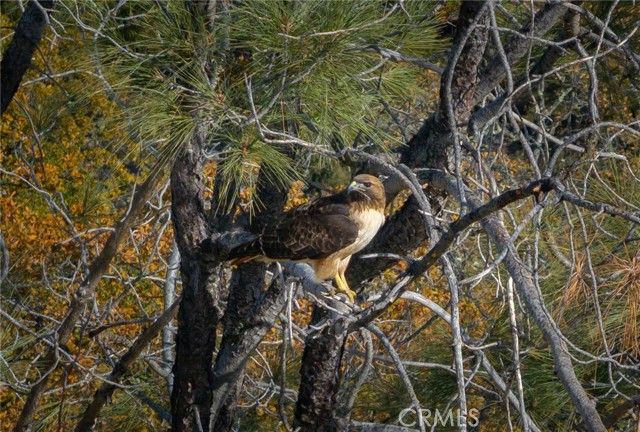 61173 Argyle Road, King City, CA 93930