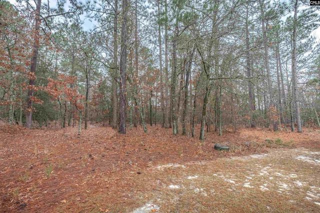 169 Gardners Farm Road, Swansea, SC 29160