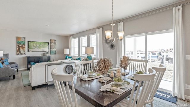 5600 Gelbray Place, Windsor, CO 80528