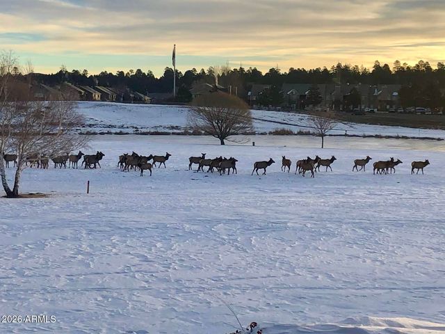 3194 N RIVIERA Way, Flagstaff, AZ 86004