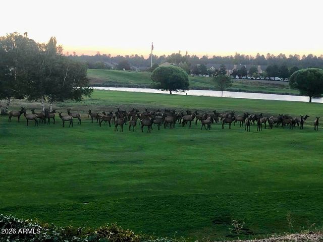 3194 N RIVIERA Way, Flagstaff, AZ 86004