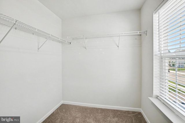 1173 MARTIN RD, Breinigsville, PA 18031