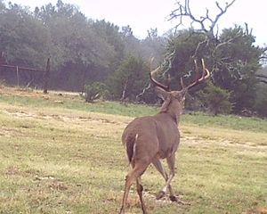 2334 CR 105, Lampasas, TX 76550