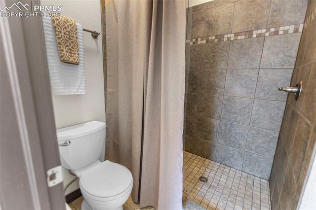 1195 Ptarmigan Drive, Woodland Park, CO 80863