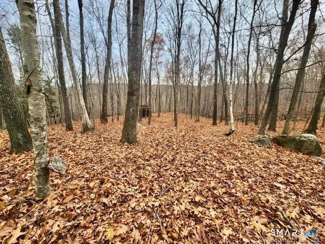 49 Cards Mill Road, Columbia, CT 06237