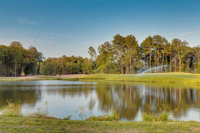 22286 Junction Peak Drive, Porter Heights, TX 77365