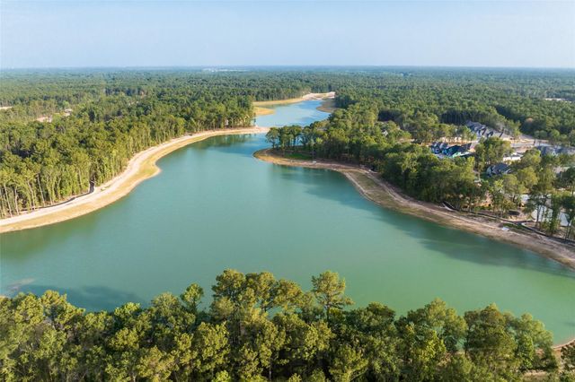 22286 Junction Peak Drive, Porter Heights, TX 77365