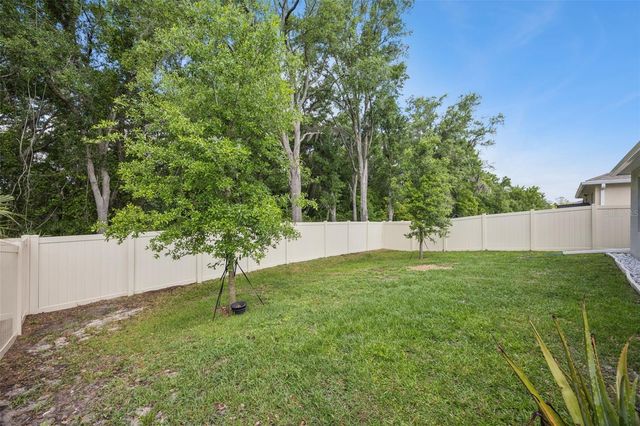 1048 BROOKLET DRIVE, Davenport, FL 33837